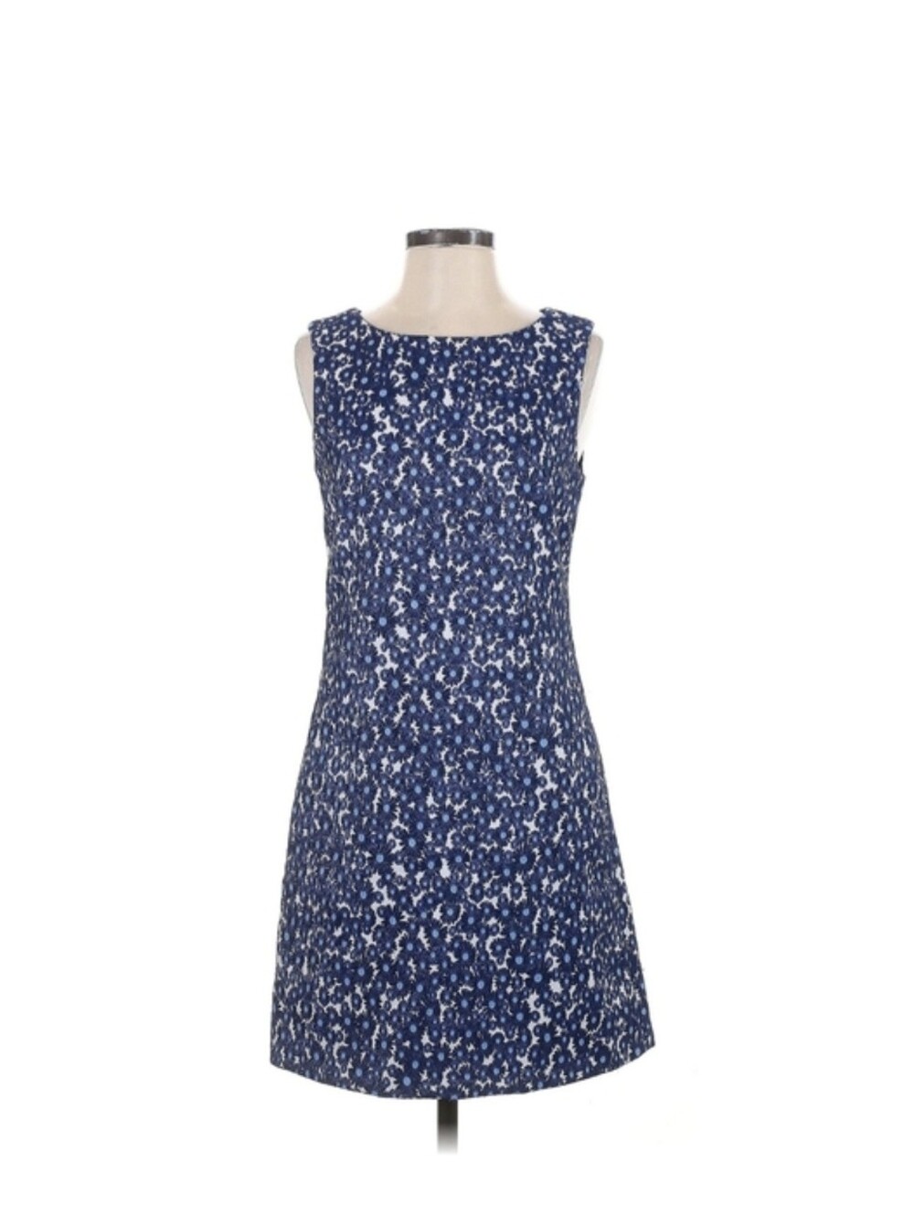 NWT Cynthia Steffe Embroidered Blue Cornflower Sleeveless Dress Size 4 - Picture 2 of 5